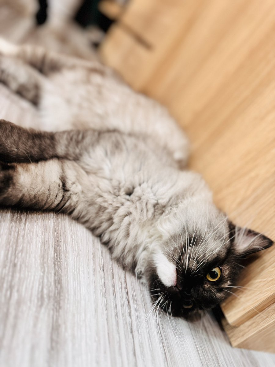 上班好累，今天終於可以休息了😴