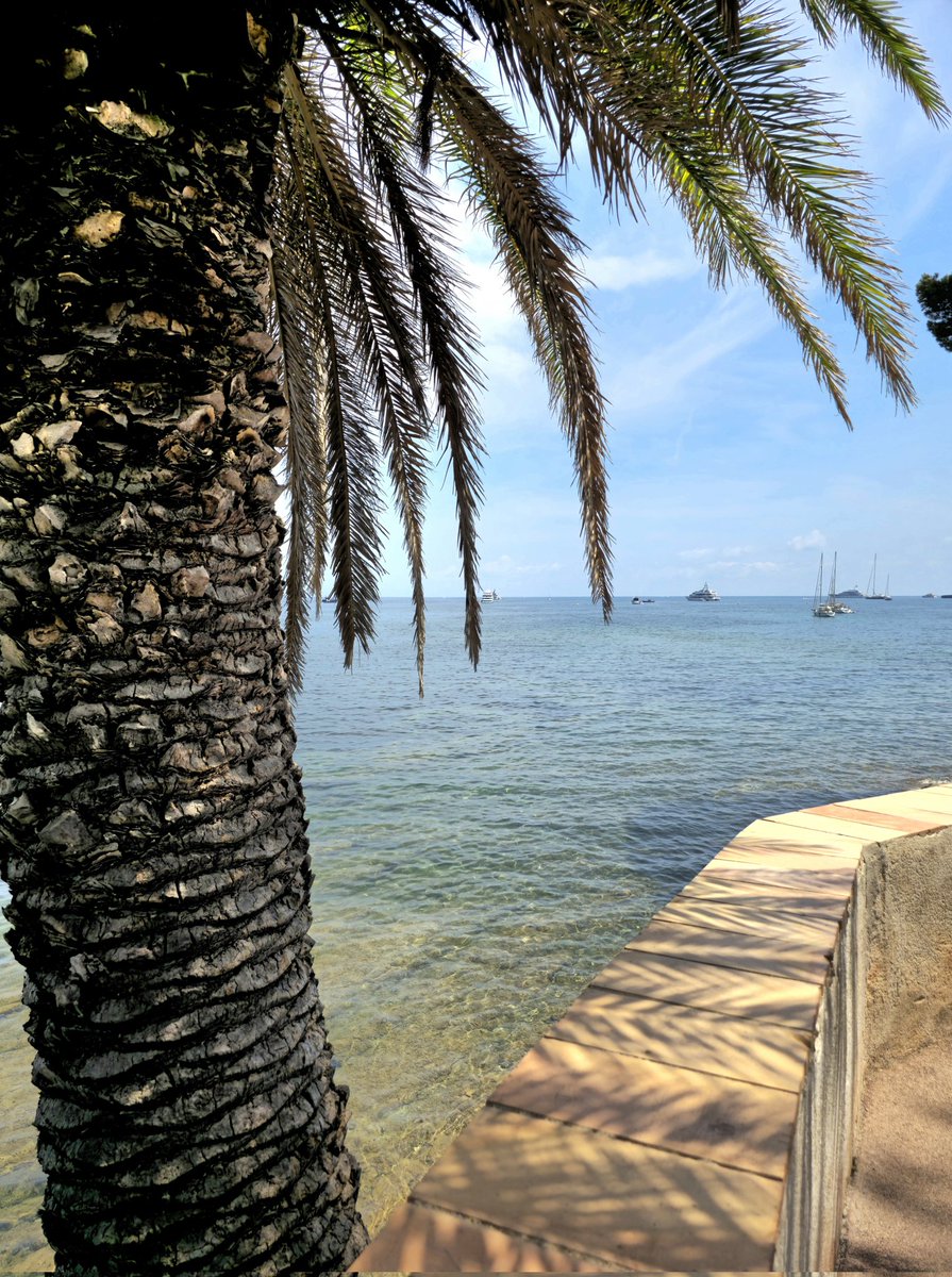 cd_land's tweet photo. "Regarder la mer
Rester la journée entière ici
Sur le mur de pierre
Devant la baie des fourmis" Voulzy - Souchon.
#PromenadeRouvier #sjcf #baladesympa #BeaulieusurMer
#SaintJeanCapFerrat #paradis
#ExploreNiceCotedAzur
#CotedAzurFrance #FrenchRiviera @ExploreNCA https://t.co/bs7eKUpIrk
