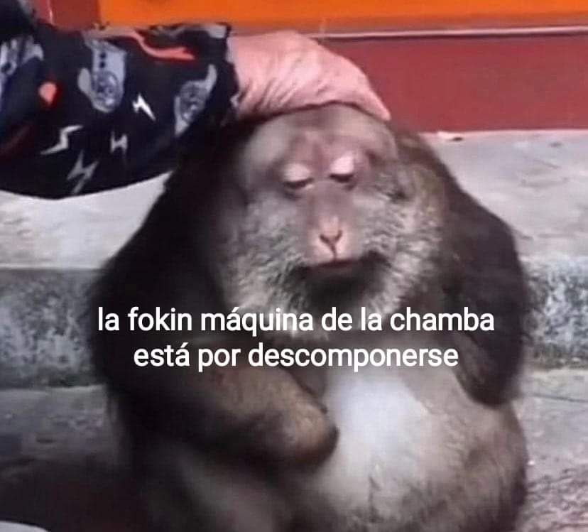 Yo.