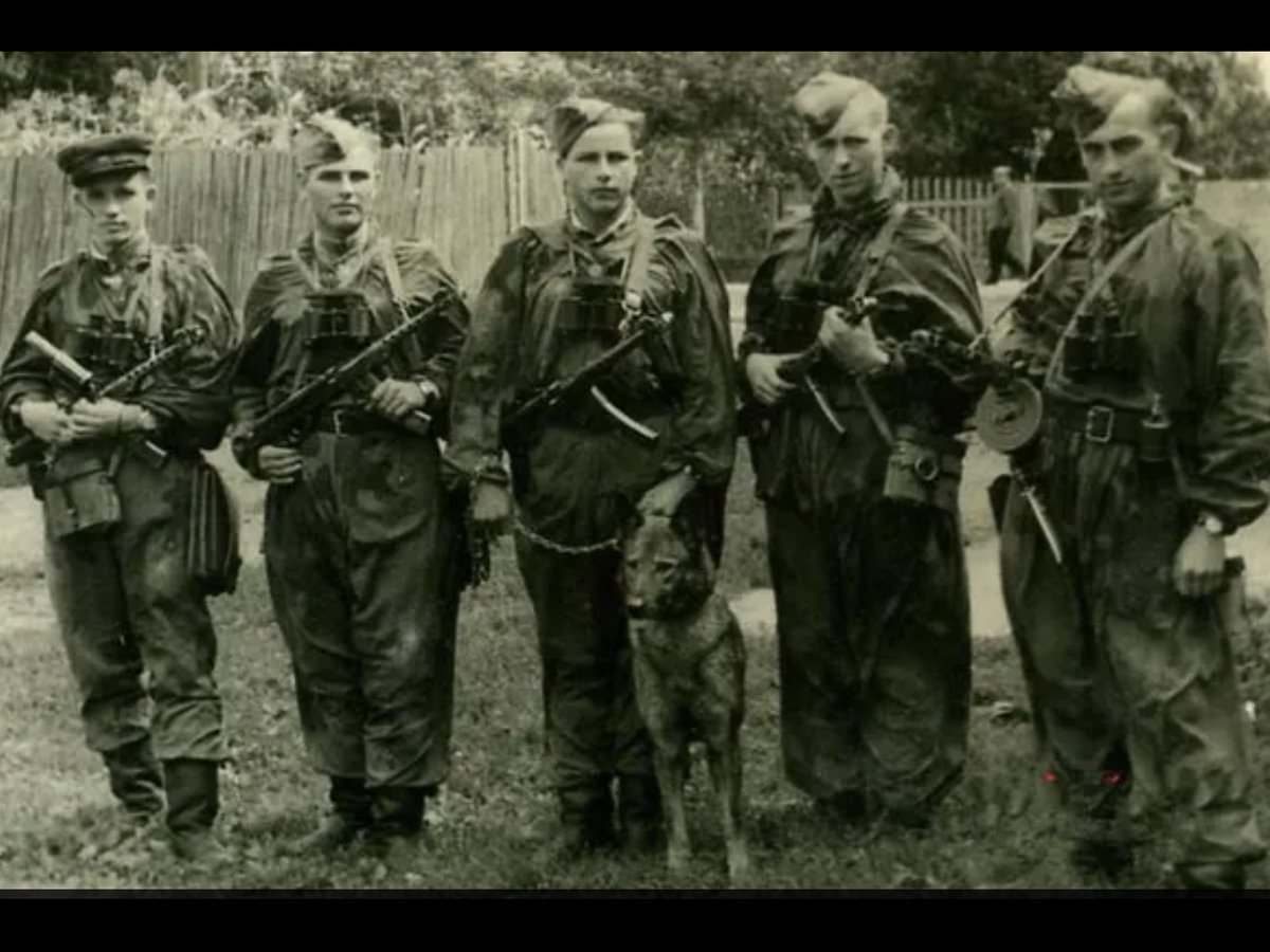10 августа 1944 года началась чекистско-войсковая операция по очистке Львовской области от бандеровцев. К 10 октября «охотниками за бандеровцами» было ликвидировано 11 крупных банд.
