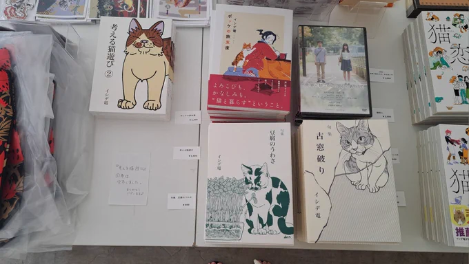 『考える猫遊び』1巻、完売しました。ありがとうございます!
#猫進行形 