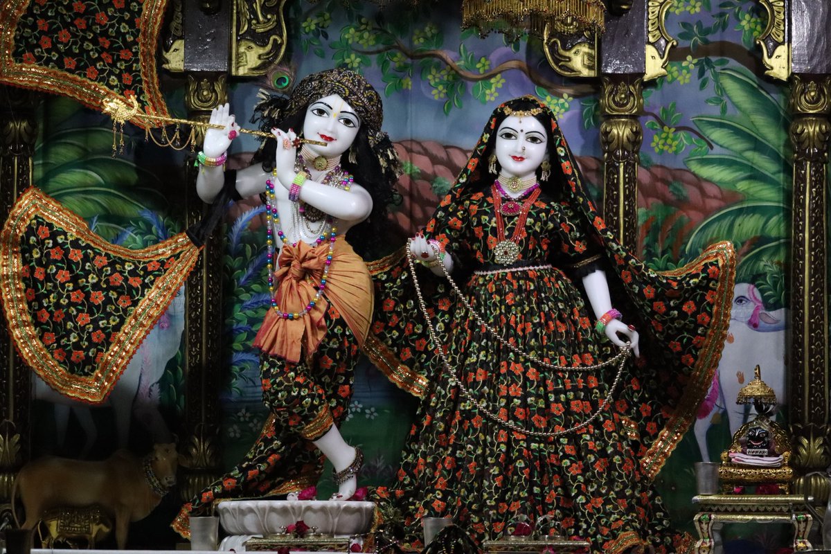ISKCONGZB's tweet photo. 🪷🌺 *Today’s Darshan* 🌷🌹
.
.
.
.
#tren #dailydarshan #radhamadanmohan #dailypost #iskcon https://t.co/D7Of0i6UmK