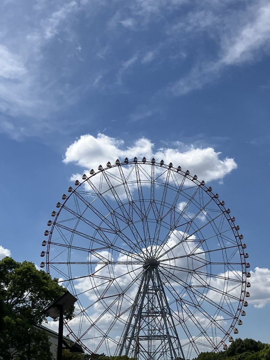 morningwalk123's tweet image. 目の前の観覧車！
#関数アート #mathinreality