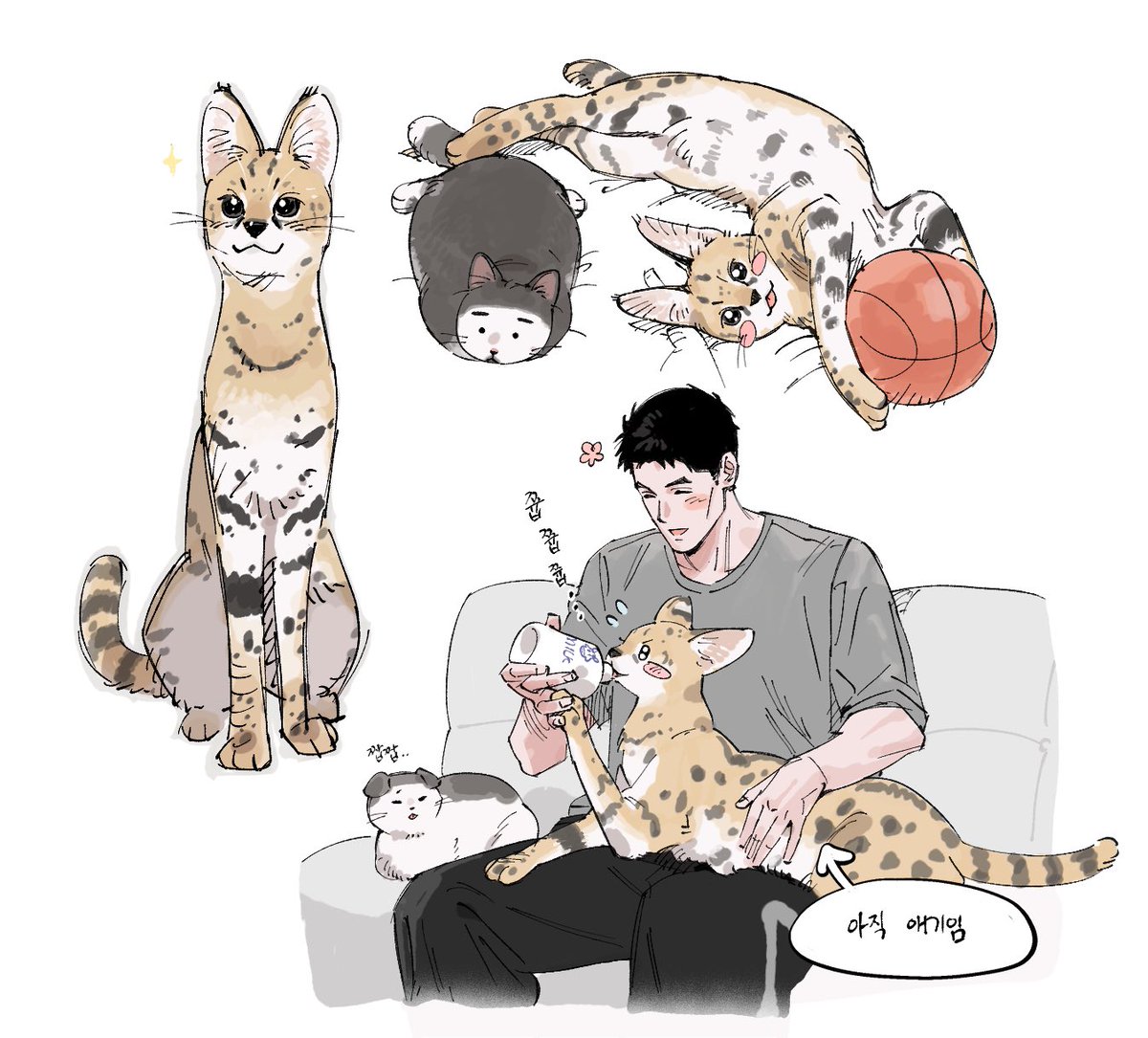 서벌캣 우성이와 동오집사 그리고 돼쥬고양이들