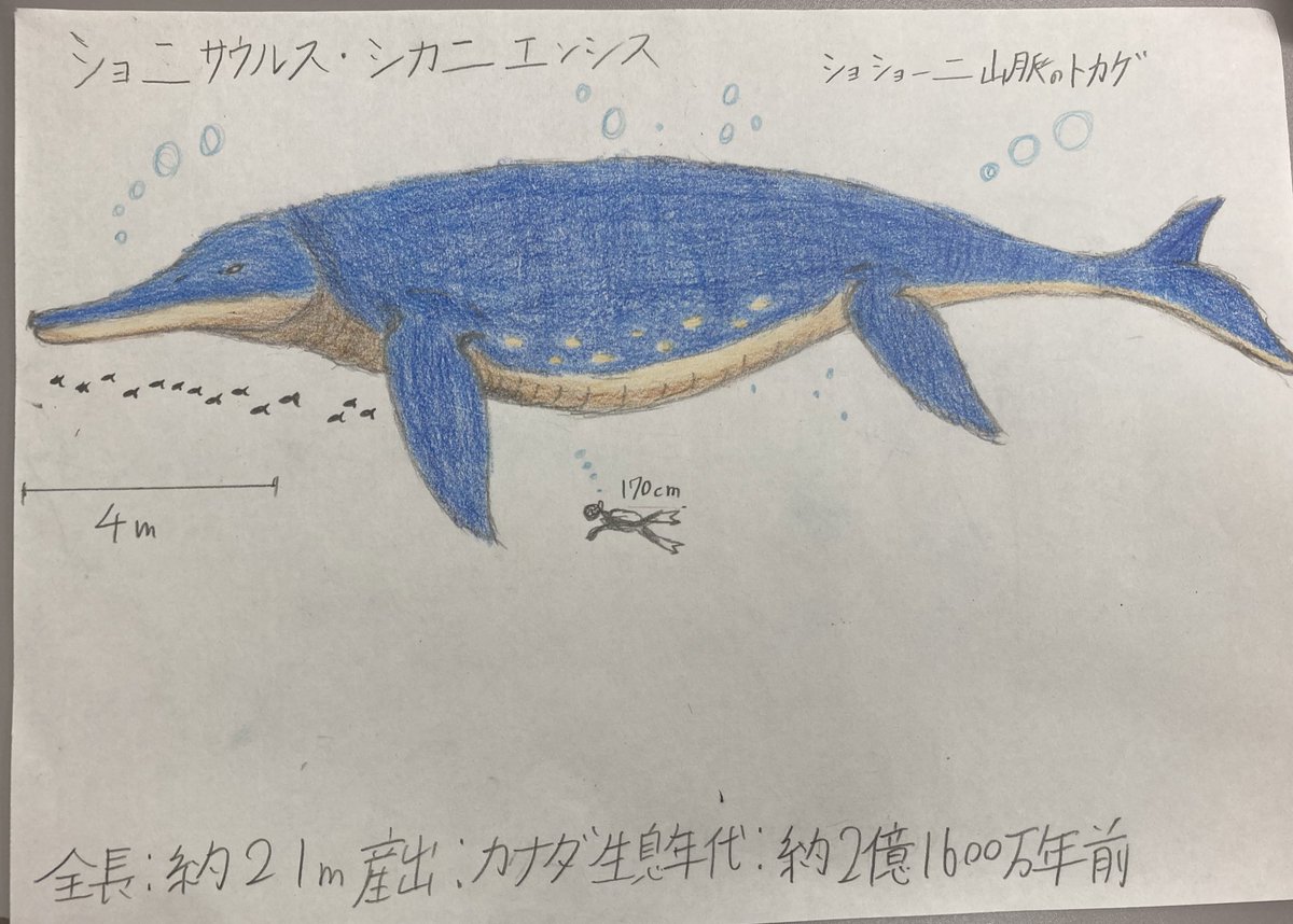 NZSjIFiJi8eDWdD's tweet photo. #Shonisaurus・sikanniensis完成!
史上最大の海生爬虫類!
スペースが少し空いてるので他の魚竜3種描いてみようかな?(希望があるならリプに!)
色がだいぶソニックです…
#ichthyosaur https://t.co/oECv4daQT4