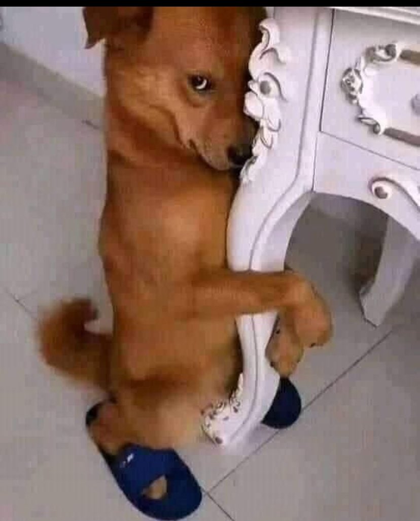 mb5gay's tweet photo. What plans you have for this weekend….oba you are going to wash your clothes🤔🤔 https://t.co/OGgZv2IkEi