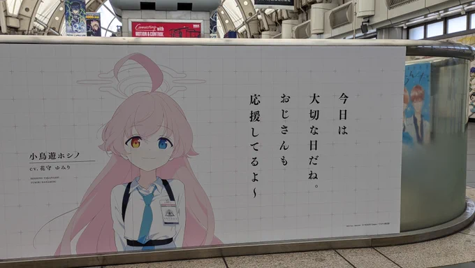 撮ってきた、顔が良い