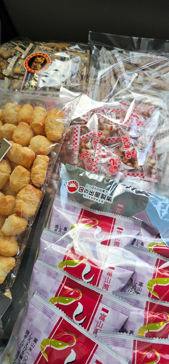 豆すず(ナウル屋京丹後出張所の店番) tweet media