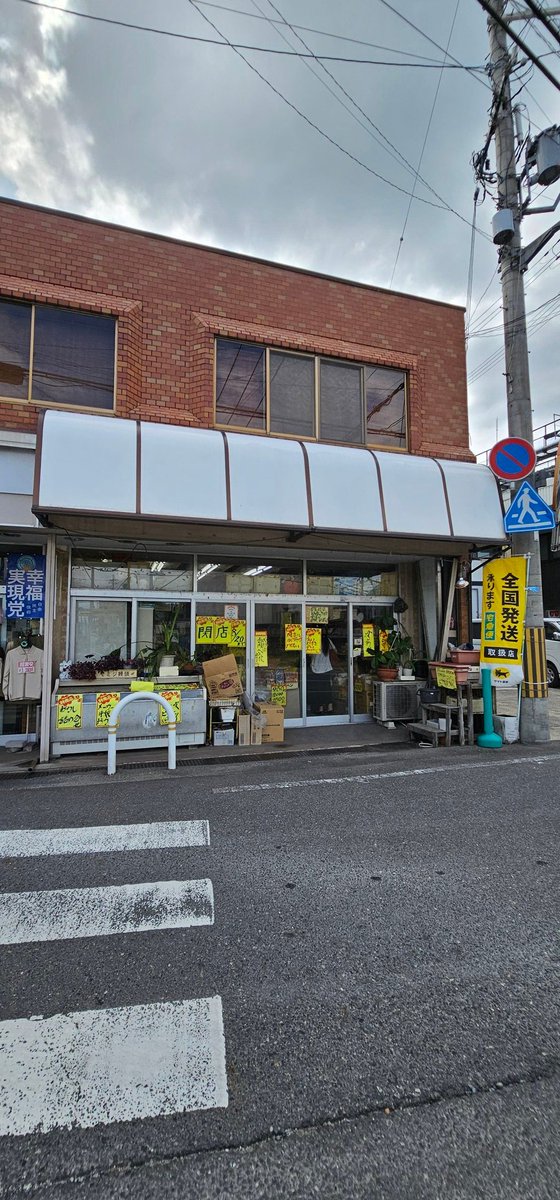 豆すず(ナウル屋京丹後出張所の店番) tweet media