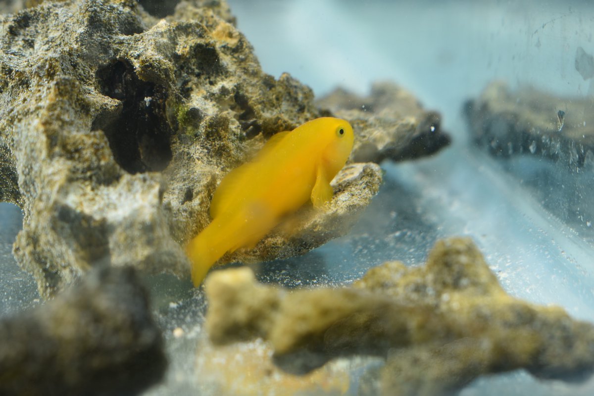 Courtney Hildebrandt (she/they) tweet media