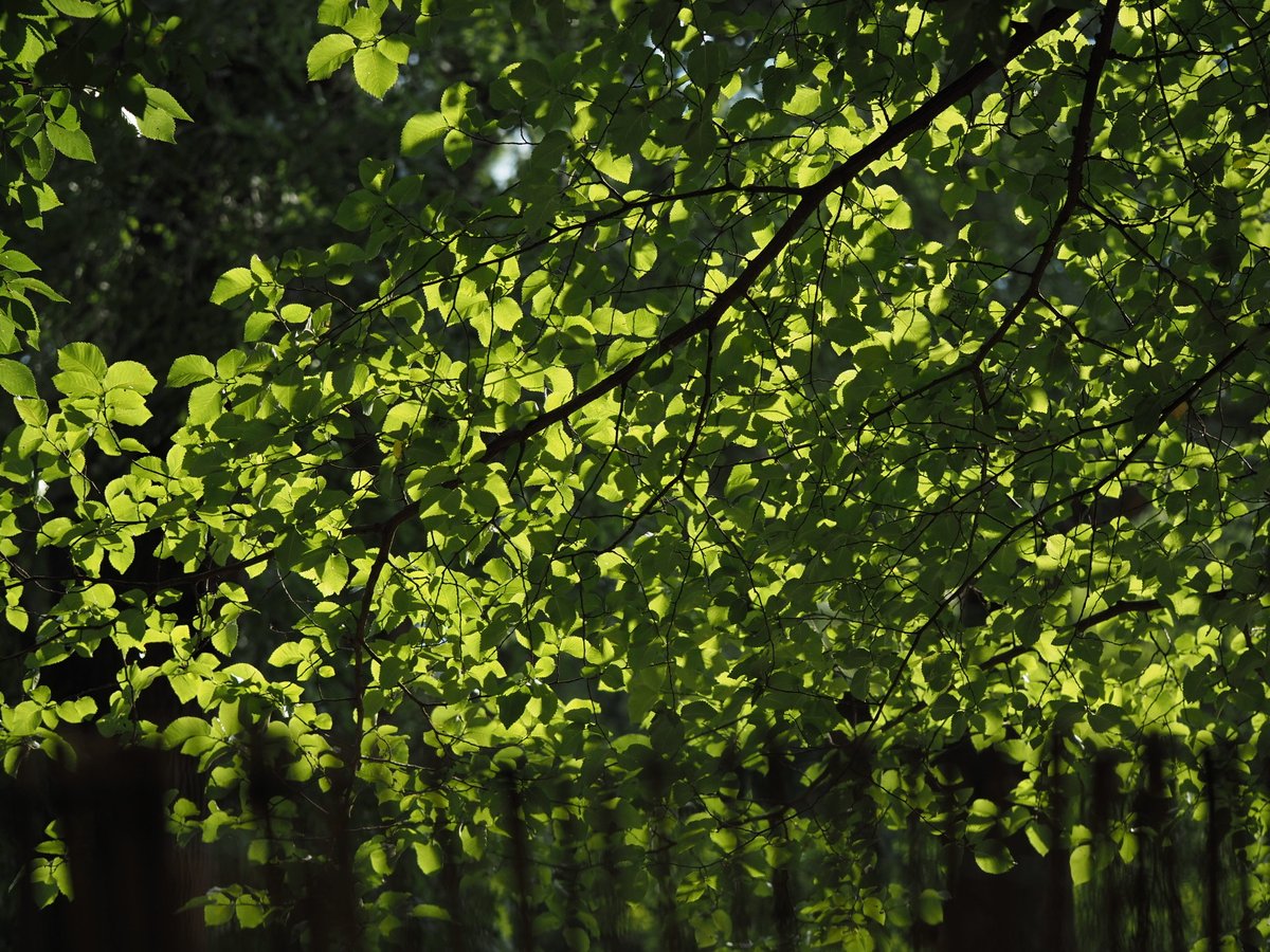 Markus Triska (@markustriska) on Twitter photo 