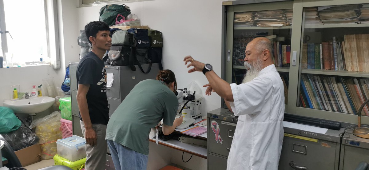 Rebecca Brown tweet media