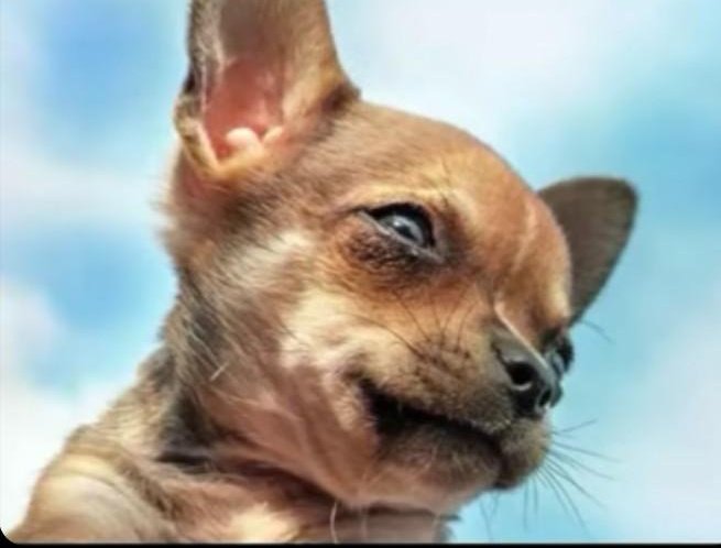 thekingsmanUG's tweet image. I'm financially at a stage where i understand why people do fraud 😭