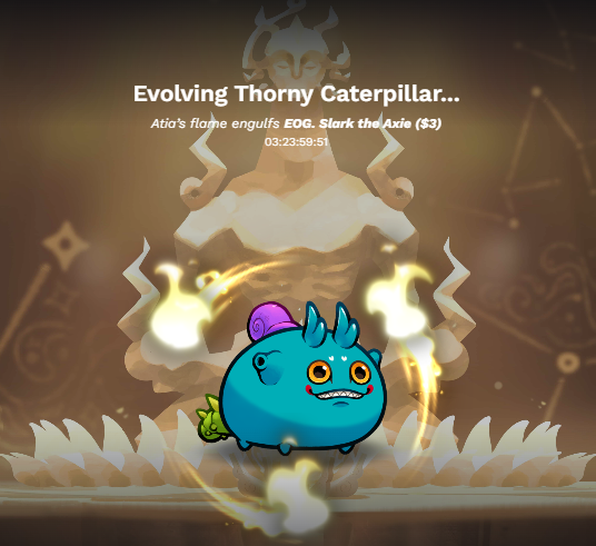 EngineOneGaming's tweet photo. Thanks to #AxiePremierBountyBoard Quests, here I am throwing money 🤣🤣🤣

My 2nd Axie to Undergo Evo! So happy tho ^^

#BakaEOGyan #EOG #AxieInfinity #AxieEvolution https://t.co/4ehvRHwAjy