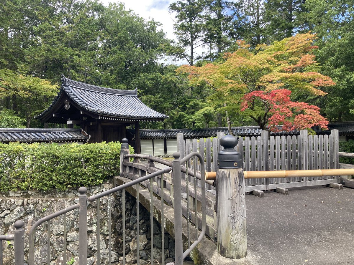 utilityTADA's tweet photo. 京都は良いぞ https://t.co/O7RX5mw41y