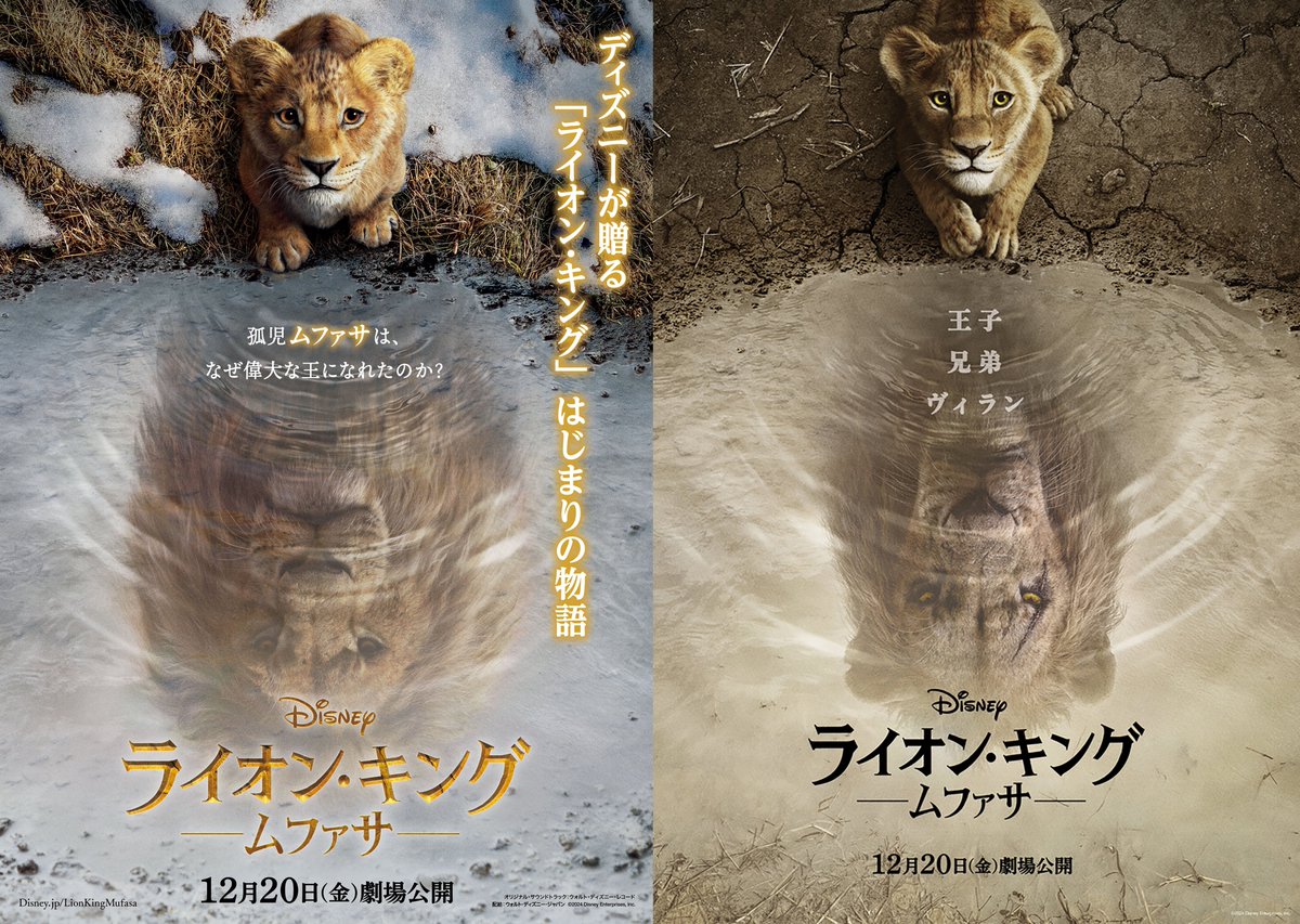 シムメール ライオンポスター ポスター A4 ライオン ダンベル 筋トレ 筋肉 ワークアウト ジム by Fox