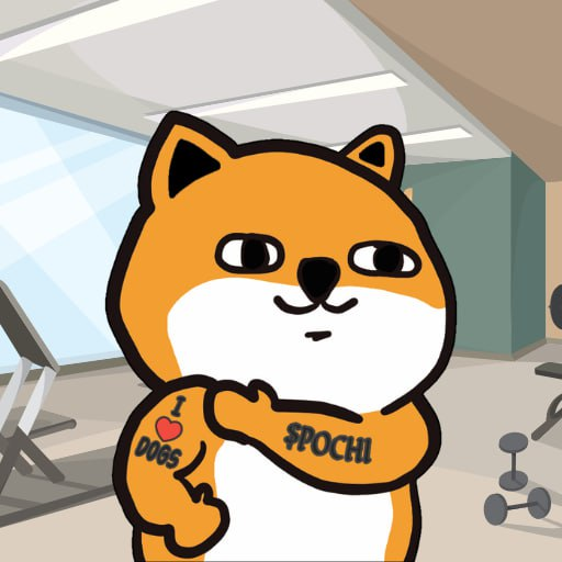 Pochi | $POCHI tweet media