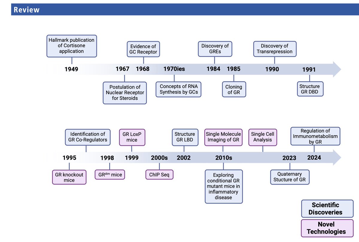 Excited to share our latest review in Annals of Rheumatic Diseases (tinyurl.com/4dd4n3a8) @ARD_BMJ —75 years after Hench and Kendall's landmark paper on synthetic cortisone in the same journal. A fascinating journey through decades of discovery!