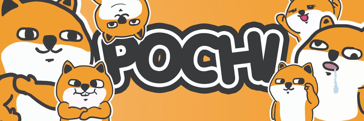 Pochi | $POCHI tweet media