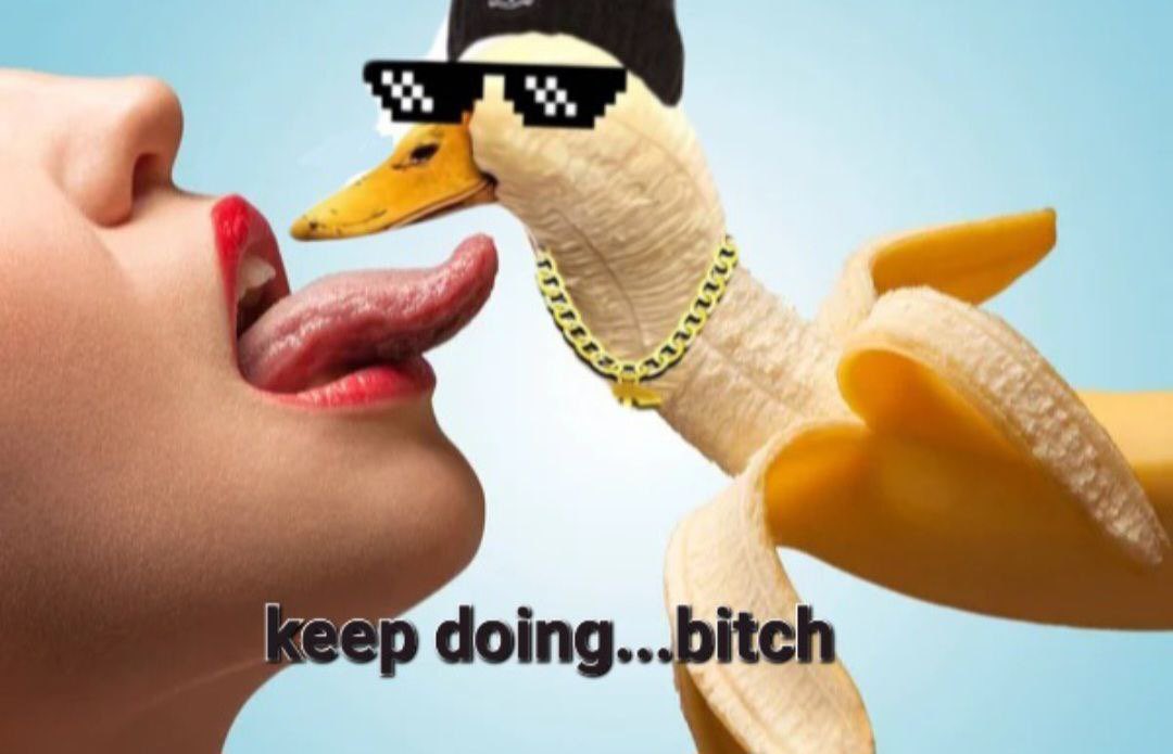 WhoAmI1369's tweet photo. @JakeGagain Hey Jake 

Check out your boy $Buck the Banana Duck!! 

Just over 24 hours old on Solana.....give it a look 🙏
 
CA: DmGfqvcqWwbeY8NU5sL8XvcxRwMNtK5fX2iKneGspump https://t.co/nP5Z809LHv