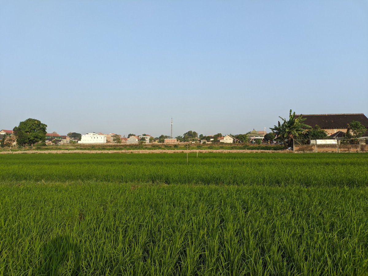 afinxlv's tweet image. Gununge ilang