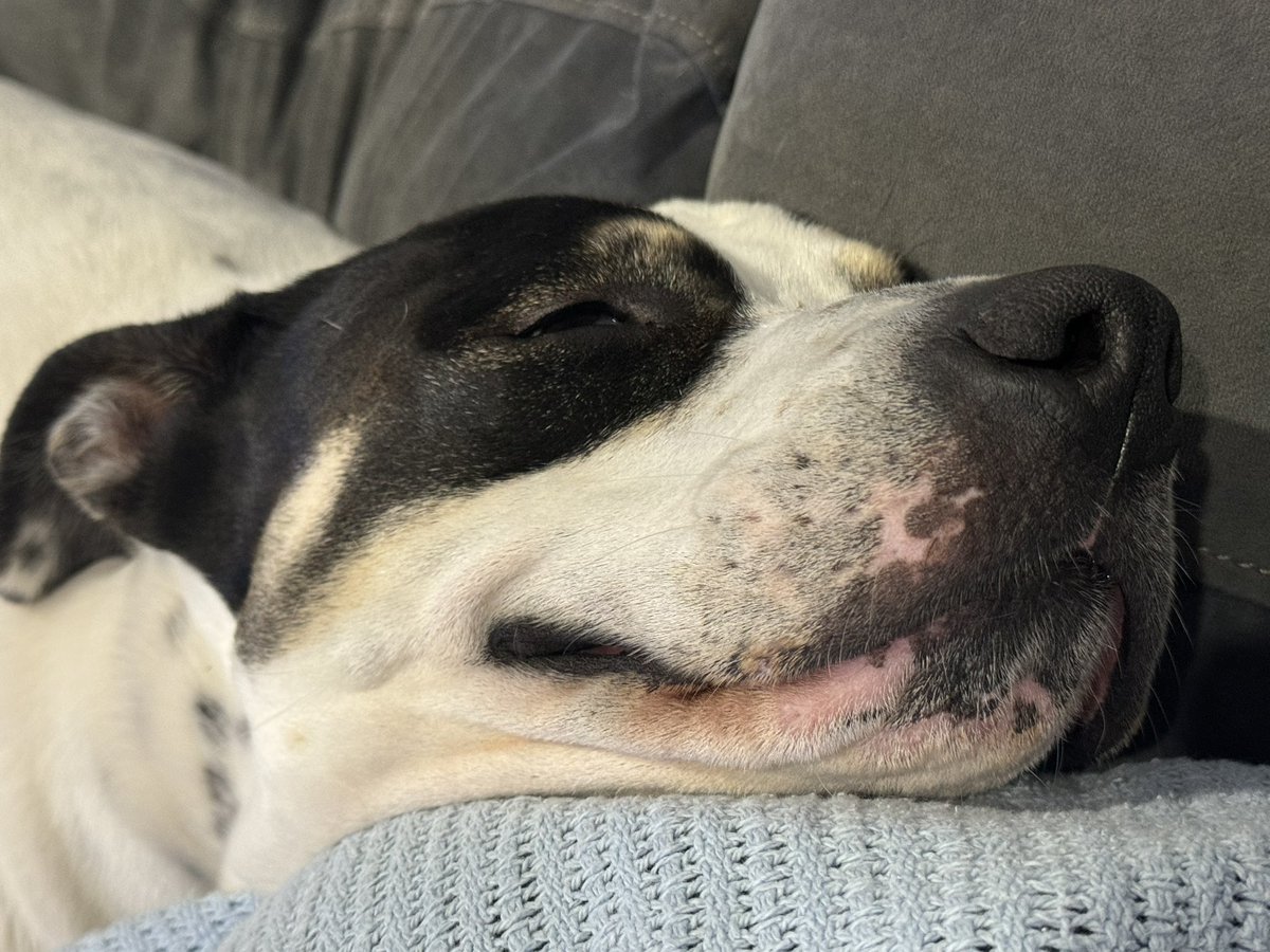 Clementine Fraser tweet media