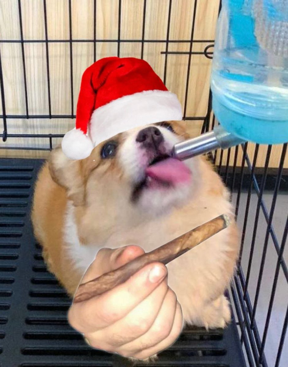 10X to All time high 

2tT3Am3XhjR55KFsuQ7TWz23Cck2TvdvvK4Fp16npump

We will reach it and its going to be like Christmas <3
#HAMSTER