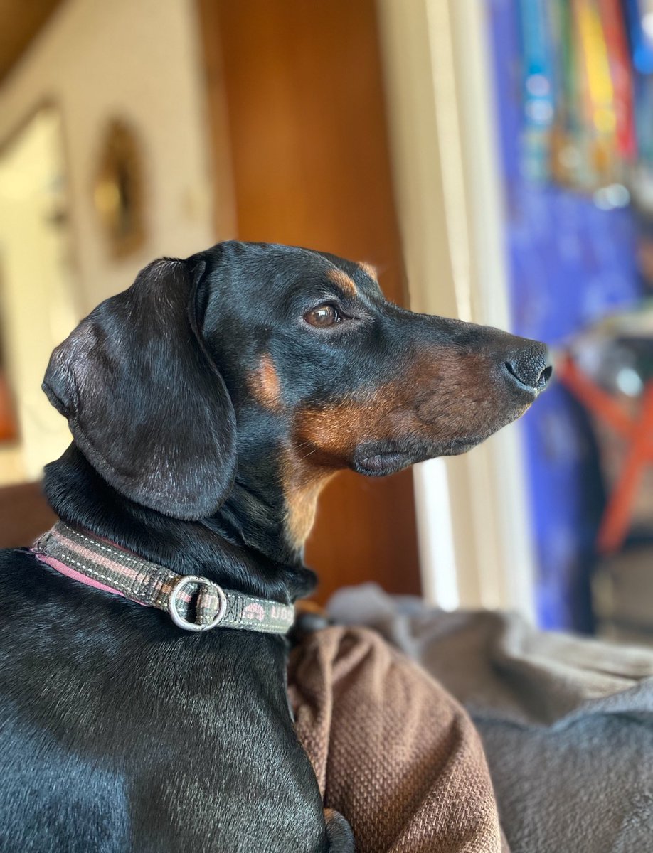 suddigum 🔥 tweet media