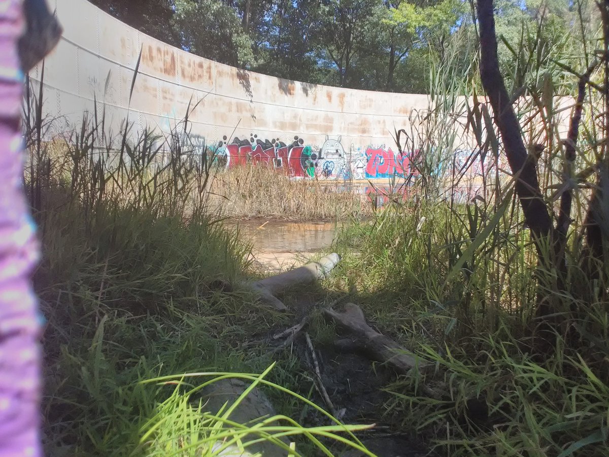 KA0sUGan's tweet photo. #Rochester #graffiti #totoro #kaosugan #K https://t.co/9QeuC2VxXK