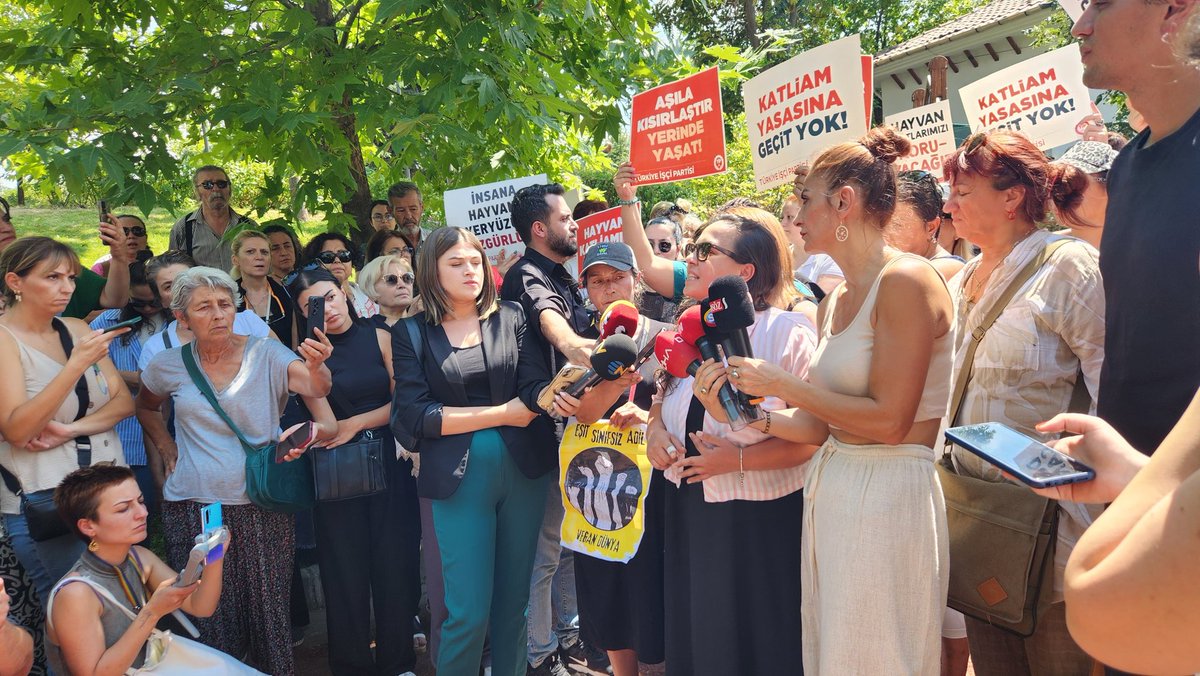 Altındağ Belediyesi önünde bir araya gelen hayvanseverler, "Hayvanları öldürmek için önce bizi öldürmeniz gerek" dedi.
Detaylar için:
zafergazetesi.org/haber/21275596…
#AltindağdaKatliamVar #ankaradakatliamvar #YasayıGeriÇekKatliyamaHayır