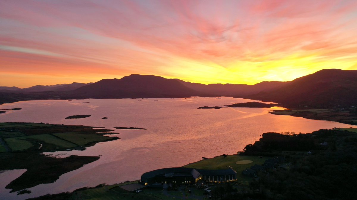 bradypga's tweet photo. Good morning Vibes #hogshead @wildatlanticway @WatervilleKerry ☘️ https://t.co/HpKrIOJ9sU