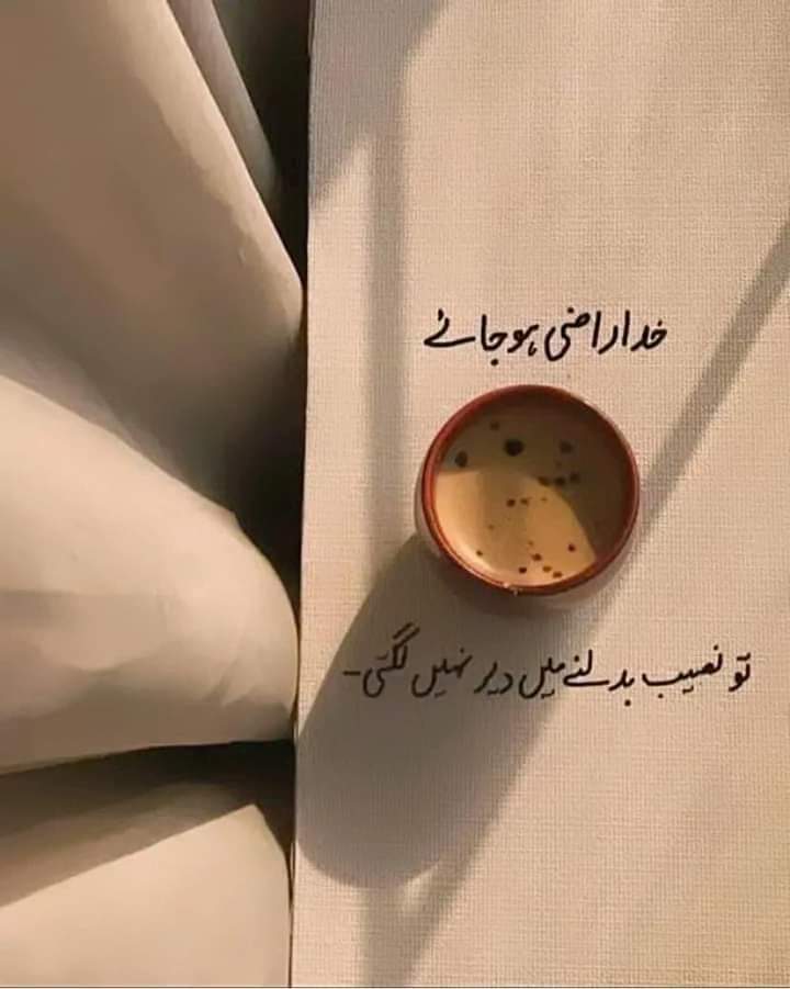 Muhammad Tahir tweet media