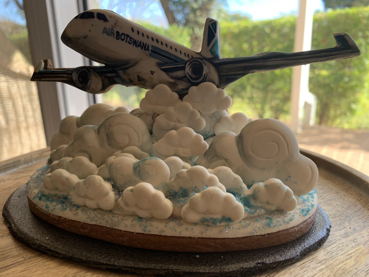 Wheels Up!  The time has come for me to bid a sad farewell to Botswana.