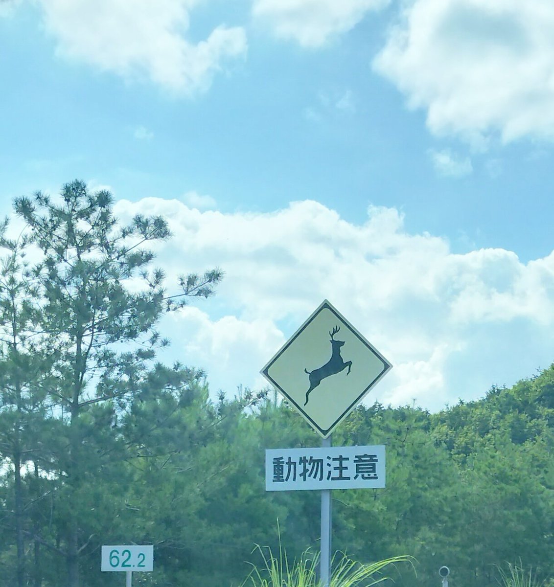 saf_got's tweet photo. ゲースロに出会ってからというもの高速乗ってるだけでゲースロ観たくなる病にかかってる🦌

#ゲームオブスローンズ #GOT https://t.co/tHL9Ncj9Mr