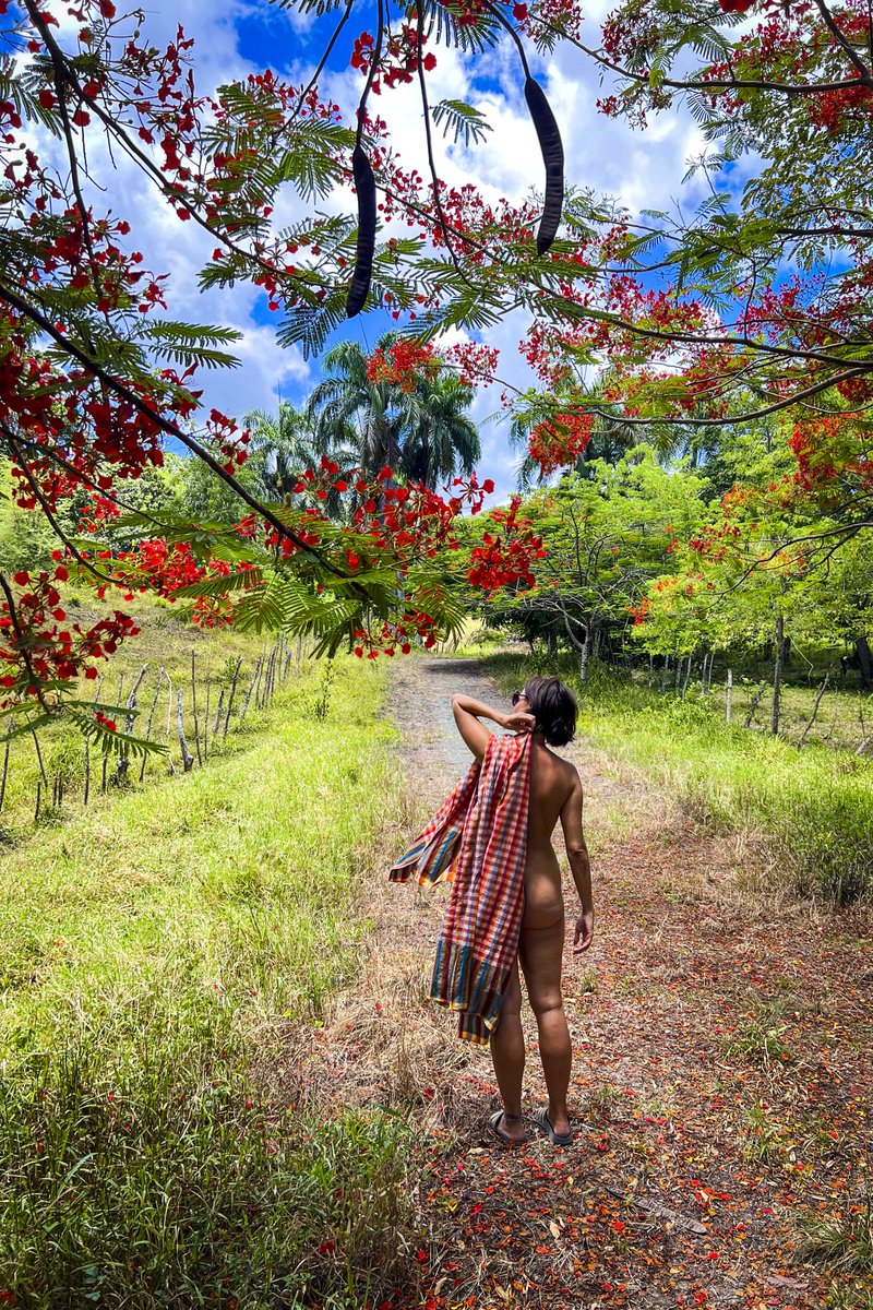 nakedwanderings's tweet photo. You are not reading this title wrong, #nudity on the #DominicanRepublic is a thing! It's out in full nature, surrounded by birds, amazing people, beautiful views and a couple of swimming pools 😉
https://t.co/Zrvz3scFfc
#naturist #freeliving #nature #back2nature #community #nude https://t.co/eLgh6ccmwr