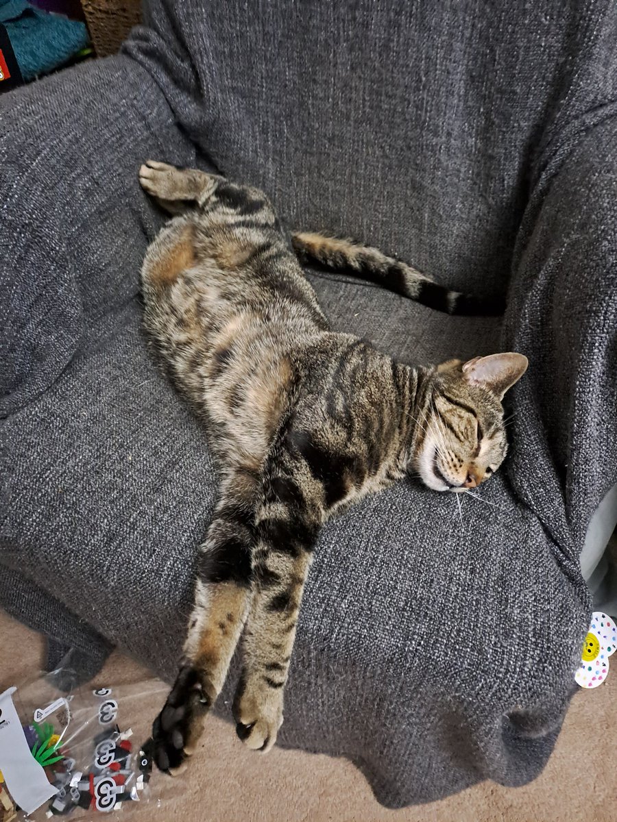 My last #Caturday post for Bertie. Remembering him where he spent most of his time. Goodbye my boy...
