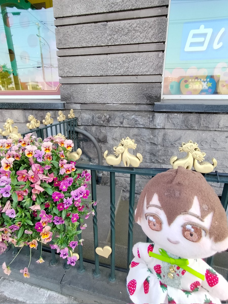 sato_picpic's tweet photo. おでかけ 𓂃 𓈒𓏸◌ https://t.co/kQym3CMOgJ
