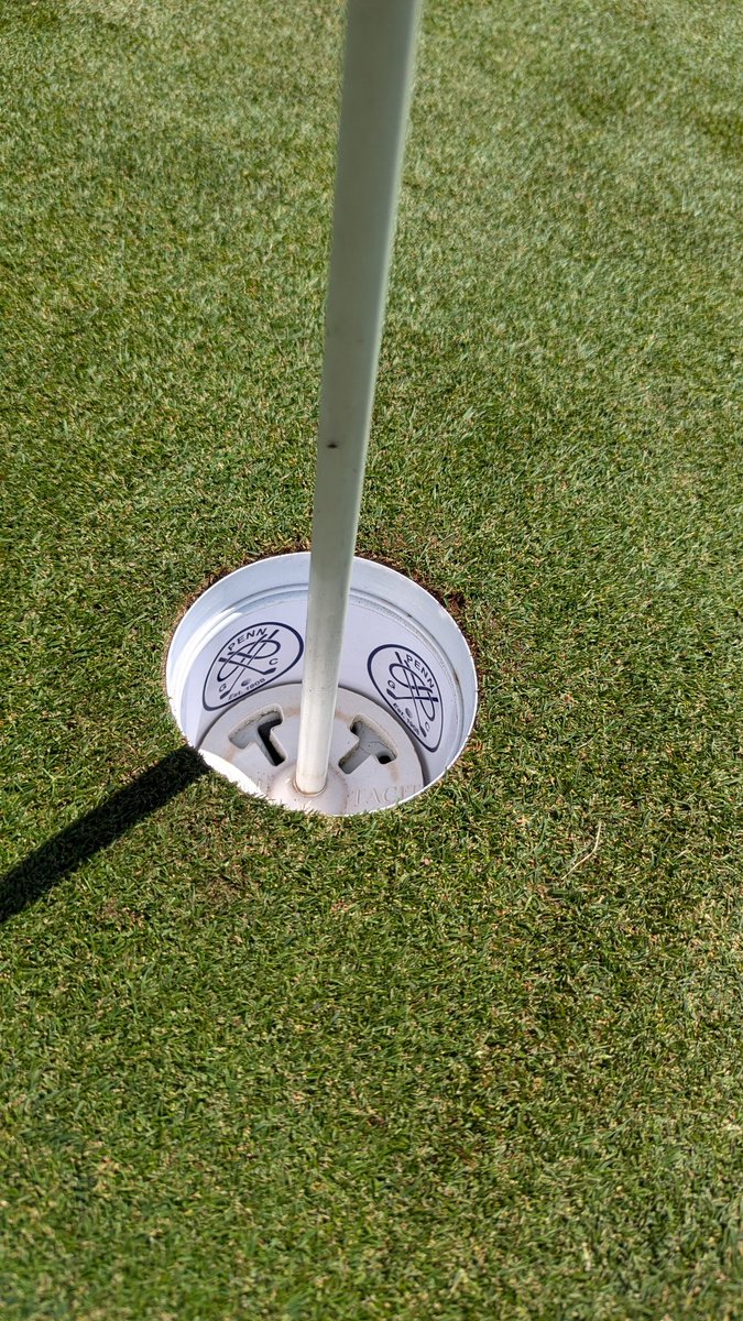 David Healy tweet media