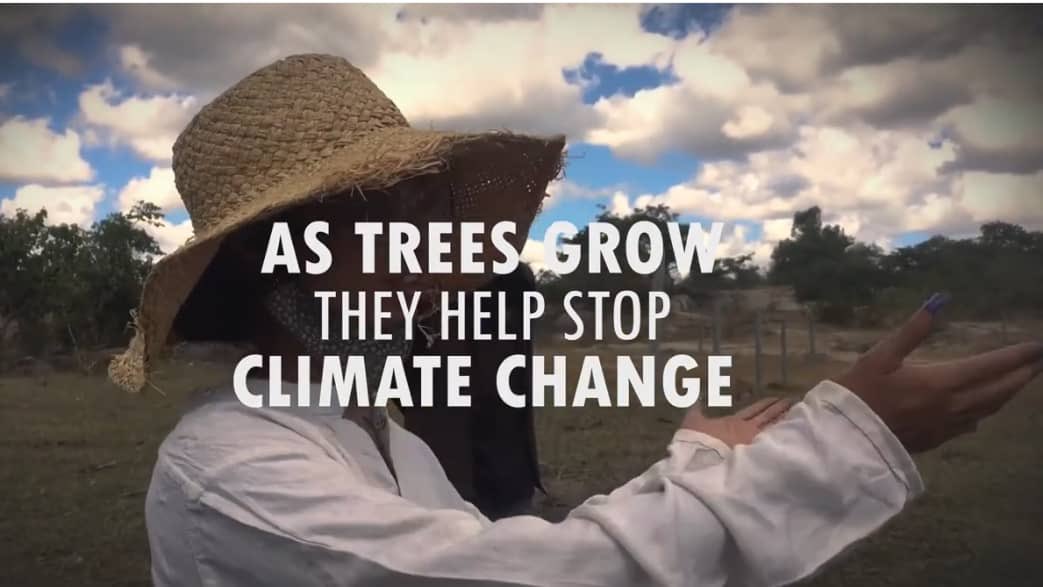 Disaster & Environmental Management Trust (DEMT) tweet media