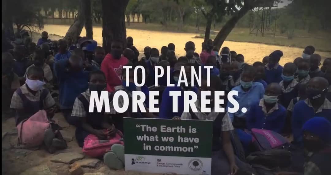 Disaster & Environmental Management Trust (DEMT) tweet media