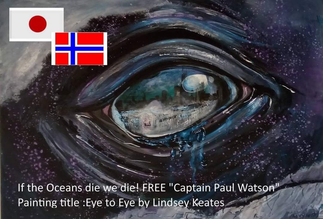 #FreePaulWatson <a href="/NorwayNATO/">NorwayNATO</a> <a href="/visitnorway/">Visit Norway</a> #Norway <a href="/NorwayEU/">Mission of Norway to the EU</a>  <a href="/norway/">Norway News</a>  have you seen that China is eating Seal bull penises also, what is wrong with your morals and conscience <a href="/SCMPNews/">South China Morning Post</a> <a href="/XinhuaChinese/">New China 中文</a>  <a href="/Tokyo_gov/">Tokyo Gov</a> <a href="/VisitBeijingcn/">Visit Beijing</a>