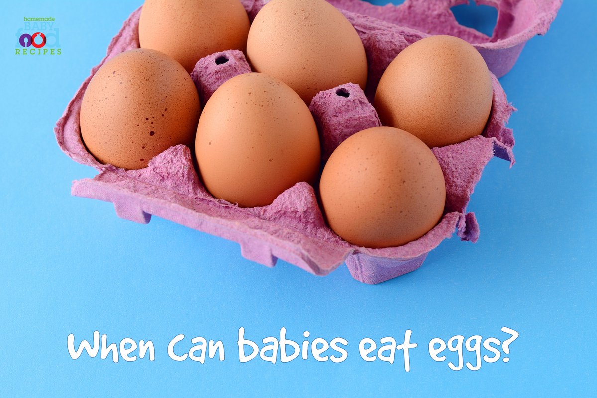 Recipes4Baby's tweet photo. This page helps you decide when to include eggs in your baby’s diet.
https://t.co/TW9aJJYuRU
#eggs #babyfoodrecipes #babyfood #homemadebabyfood #weaning #weaningideas #startingsolids #firstfoods #babyfirstfood https://t.co/gkioRzDeVD