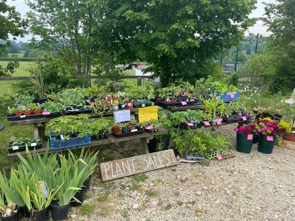 NorthantsNGS's tweet photo. Visit an allotment or GYO garden this year
National Garden Scheme has diverse 'grow your own' gardens, including professionally tended ones like Fittleworth House and Goldstone Hall Gardens, and community gardens and allotments showing social cohesion.
https://t.co/rAa7qhjxsw https://t.co/JlqJJ284dN