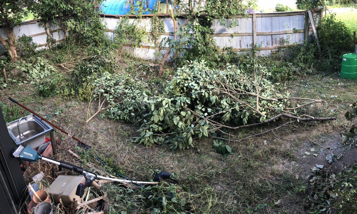 Inahouse2050's tweet photo. Inahouse 2024
Day 3 - study 1
いいから枝集めだーっ!
木こりday
#Inahouse https://t.co/duDxqH0EgD