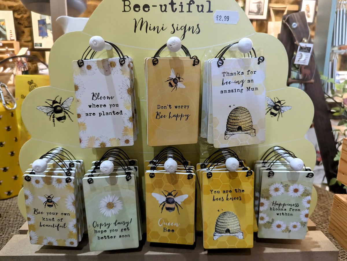 RSPCAEastWinch's tweet photo. Our wildlife shop is OPEN today till 4pm! We have lots of new beeeeeee themed items! Pop in and have a look and enjoy the last few seals we have in their pools ☺️ #bee #buttterfly #shop #wildlifeshop #wildlife #honey https://t.co/ohBvNz8Ja6