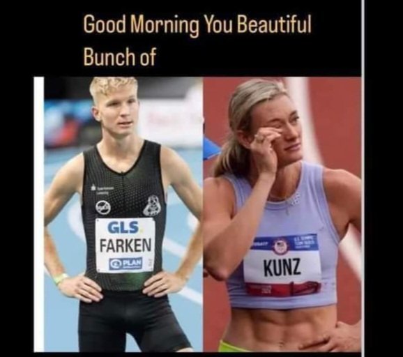 Morning scamps 🤣🤣😂😂😂🤣🤣🫠🫡