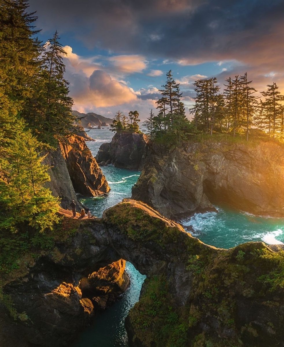 earthcurated's tweet photo. Sunset on the Oregon coast ✨ https://t.co/S44mFTXca4