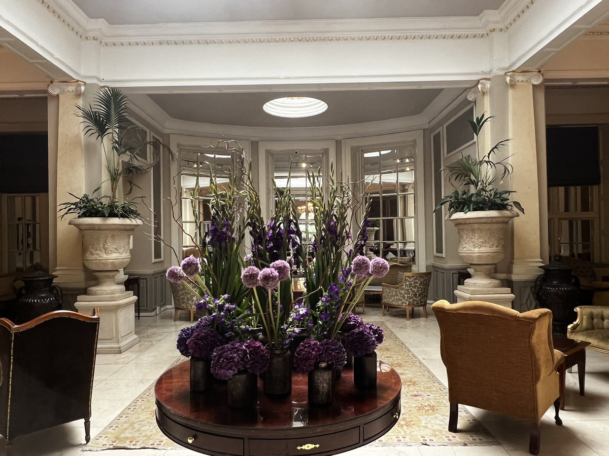 LUCINDA O’SULLIVAN tweet media