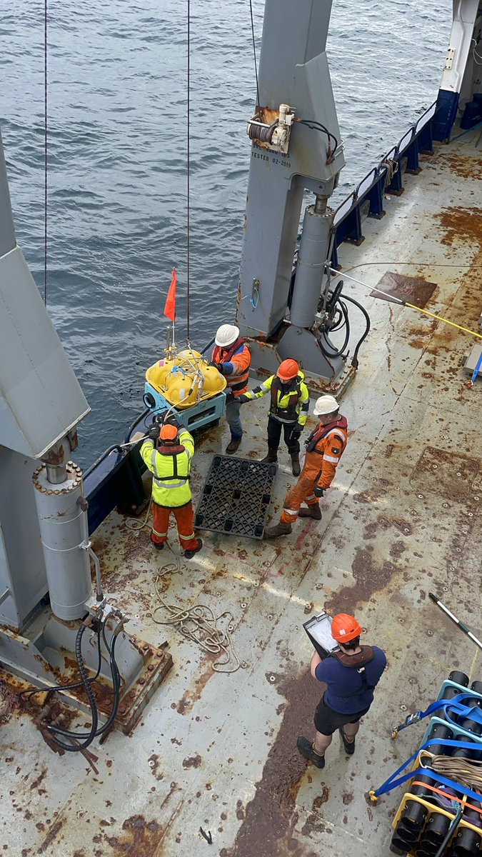 Aisling Dunn tweet media