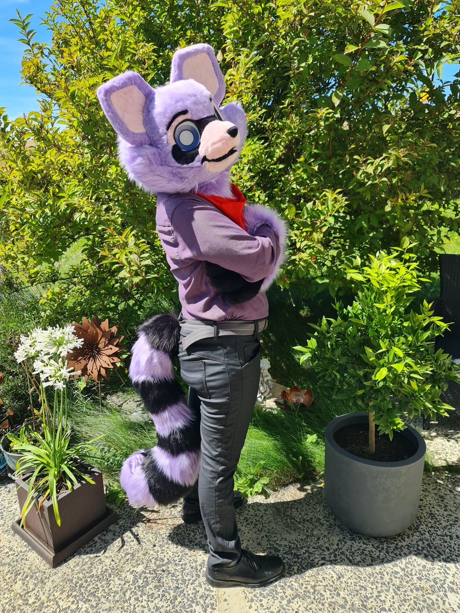 Reddox Creations tweet media